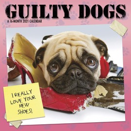 Guilty Dog Calendar