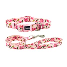 Olahibi Dog Collar and Leash Set, Cute Lily Pattern, Polyester Material, 5ft Matching Leash, for Medium Dogs.(Medium,Pink Lily)