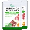 【リプサ公式】 沖縄珊瑚カルシウム＋低分子コラーゲン 約3か月分×2袋 C-178-2 カルシウムサプリ