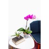 rePotme 3 inch Plant Pots - 6 Pack of Flower