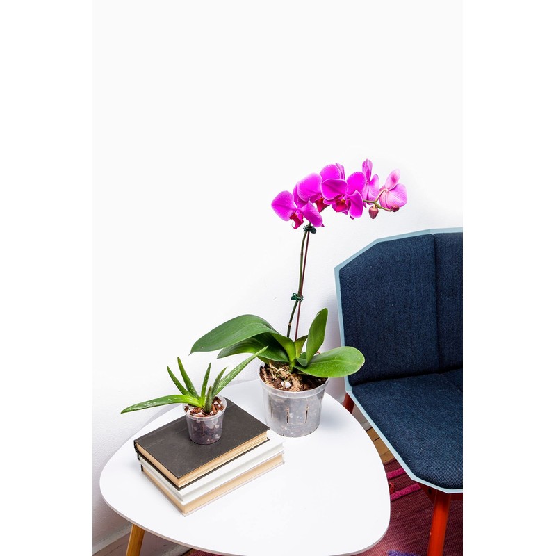 rePotme 3 inch Plant Pots - 6 Pack of Flower