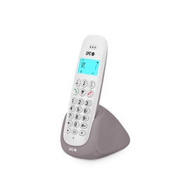 SPC Art - Cordless Landline Telephone with Illuminated Display, Caller ID, Handsfree, Phonebook, Mute Mode, Gap Compatibility and ECO Mode - White