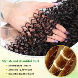 Curly Clip In Hair Extensions 6pcs Natural Soft 3C 4A Kinky Curly Clip Ins Full Head for Women 100% Pure Protein Silk Natural Soft Hair Extensions