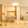 OUILA LED Ceiling Light Flat Round - Diameter 22 cm