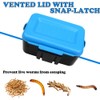 Small Size Mealworms Breeding Box Mealworms Feeding Kit to Breed