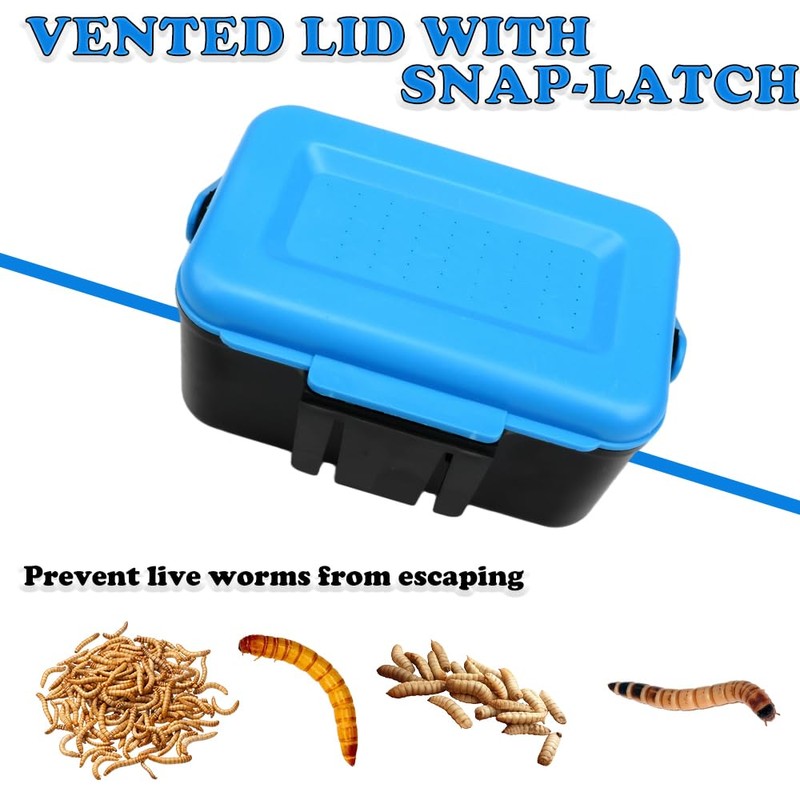 Small Size Mealworms Breeding Box Mealworms Feeding Kit to Breed
