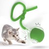 ROYAL PRODUCT Interactive Cat Ball Toy with Rope, Self-Rolling Motion