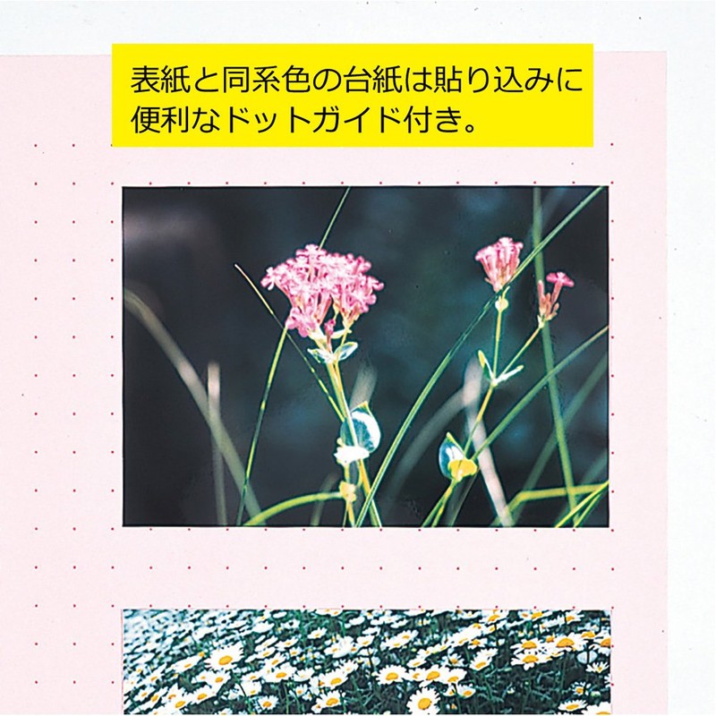 キングジム クリアーファイル カラーベース A4 (E型) 130C 黒