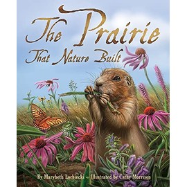 The Prairie that Nature Built
