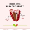 zafru Miracle Berry - Miracle Fruit - Freeze-Dried Flavor-Changing Berry