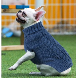 Cute Puppy Turtleneck Sweater for Small Dogs - Warm Dog Clothing for Dachshunds & Cats - Blue, Large