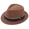 Milani Fedora Straw Hat with Matching Band Brown
