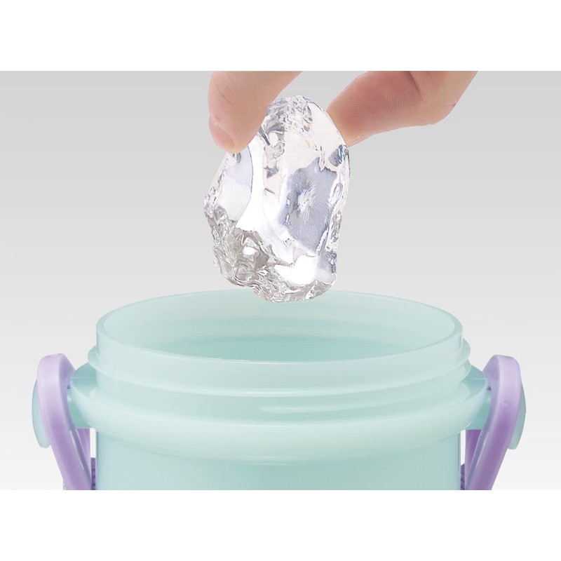 Skater PSB5SANAG-A Water Bottle, 16.9 fl oz (480 ml), Ariel,