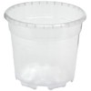 Floralo Flower pot, orchid pot, diameter 12 cm, transparent, 12