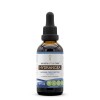 Secrets of the Tribe Hydrangea Tincture Alcohol-Free Liquid Extract, Hydrange...