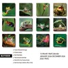 2026 Wall Calendar,Calendar 2026,Frog Monthly Wall Calendar, 12" x 24"