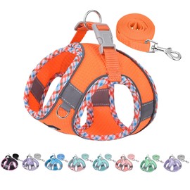 AIITLE Dog Harness and Leash Set, No Pull Step in Puppy Harness with Super Breathable Mesh, Adjustable Reflective Puppy Essentials for Outdoor Walking, Training for Small Dogs, Cats Orange XS