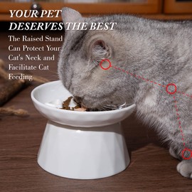 KIMAUTRM Slow Feeder Cat Food Wide Bowl Neck and Whisker Friendly Elevated Prevent Vomiting cat face Cat face Style Ceramic Color White
