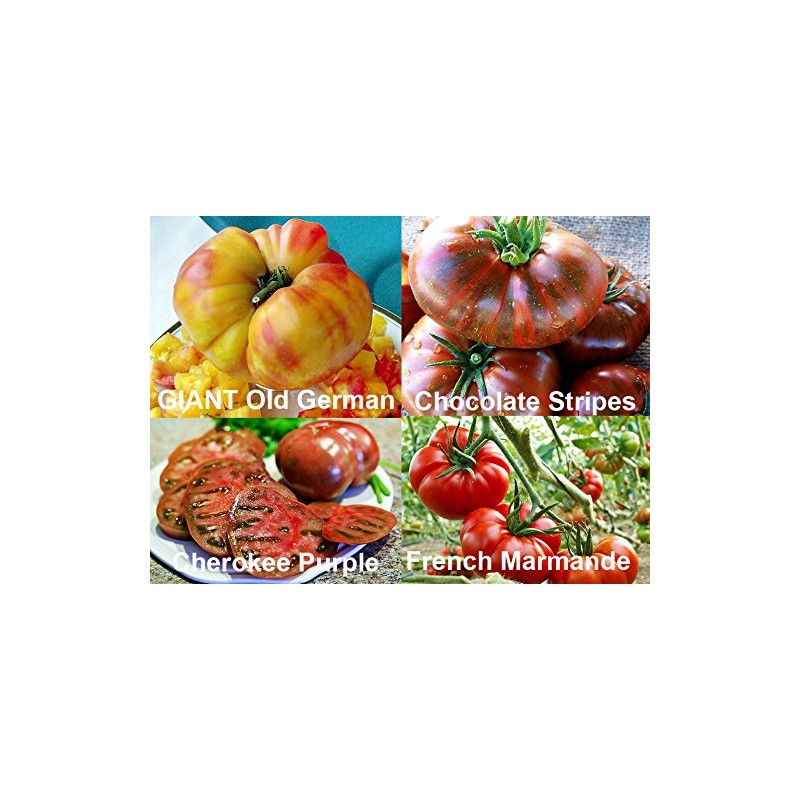 This is A Mix 30 Rainbow Deluxe Tomato Seeds Mix