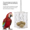 AIMALL Acrylic Parrot Foraging Toy with Hook Chain, Interactive Educational