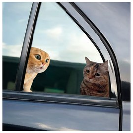 2 PCS Car Funny Cat Meme Sticker, Cute Kitten Decals for Cars, Laptop, Wall, Rear Window, Bumper, Humorous Automotive Decoration for Trucks & Vans(4 inch)