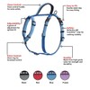 HALTI Walking Harness, Size X-Small, Blue, Best Lightweight Dog Harness