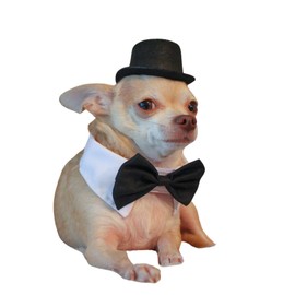 Black Top Hat with Bow Tie for Cats and Small Dogs – Handmade Formal Pet Hat for Weddings, Parties, and Photoshoots – Elegant Cat or Dog Accessory