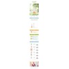 Clave Vita C Essence Large Capacity 300ml + Sooryehan Cleansing