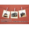 [Concise] 202615 Hand Free Luggage Bulling Belt 3.8cm kg -