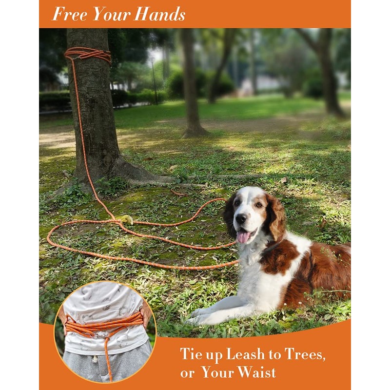 100FT Extra Long Dog Leash for Dog Training, Reflective Threads