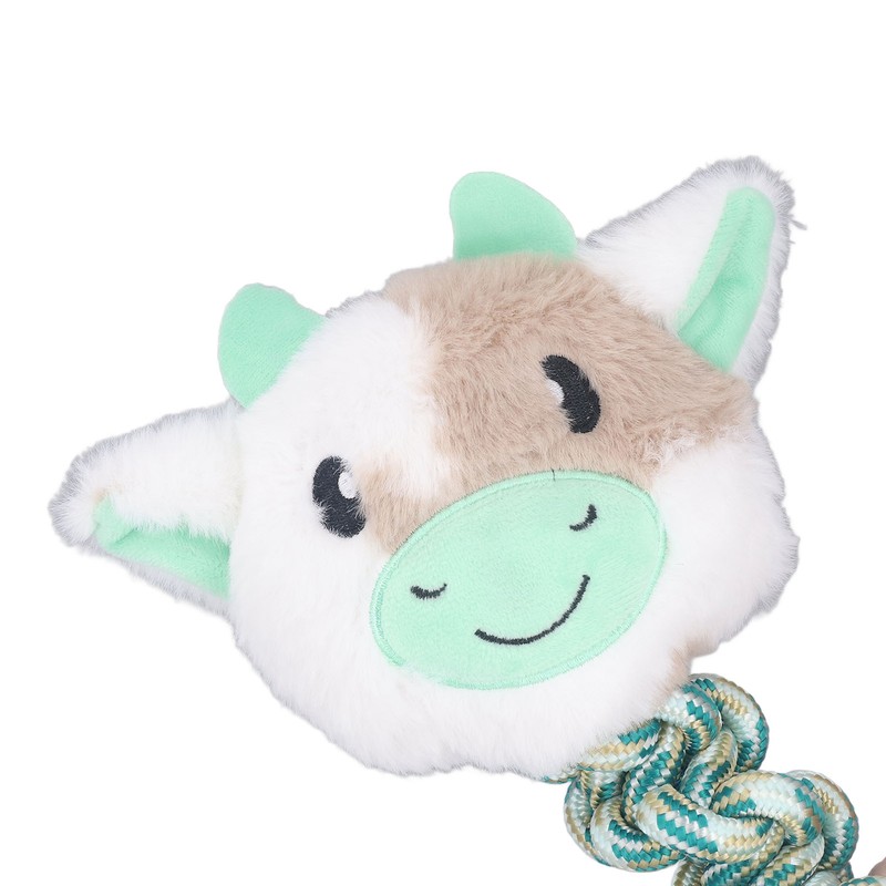 Pet Chewing Toy Bite Resistant Interactive Squeaky Pet Biting Toy