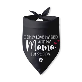 I Only Love My Bed and My Mama Dog Birthday Bandana Happy Birthday for Dog Owner Cute Dog Bandana Dog and Mom Matching Accessories Birthday Party Decorations Dog Scarf