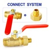 ERGAOBOY 2 x 1/2 inch BSP male thread on brass