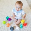 Infantino Sensory Plug and Roll Multi Blocks., multicoloured