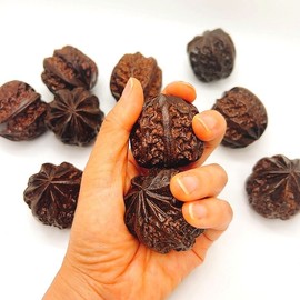 1P Walnut Shape Hand Acupressure Massage Ball Palm 2ea