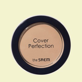 Anjumain The Saem Cover Perfection Pot Concealer 6g, 01 Clear Beige, 1 ea / 더샘 커버 퍼펙션 팟 컨실러 6g, 01 클리어 베이지, 1개