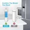 AQUA CREST Replacement for GE® RPWFE®, RPWF (with CHIP) Refrigerator