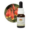 Christmas Bell 15 ml Stockbottle Australian Bush Flower Essences