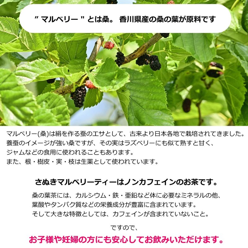 Japanese Mulberry Tea Sanuki Tea Brown Rice Flavor (Tea Bag),