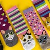 United Oddsocks- Catwalk - Box of 6 Colourful Mix &