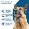 Gencon - Medium Size Anti Pull Dog Headcollar - Trainer