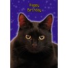 Pet Cat Birthday Card
