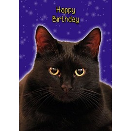 Pet Cat Birthday Card