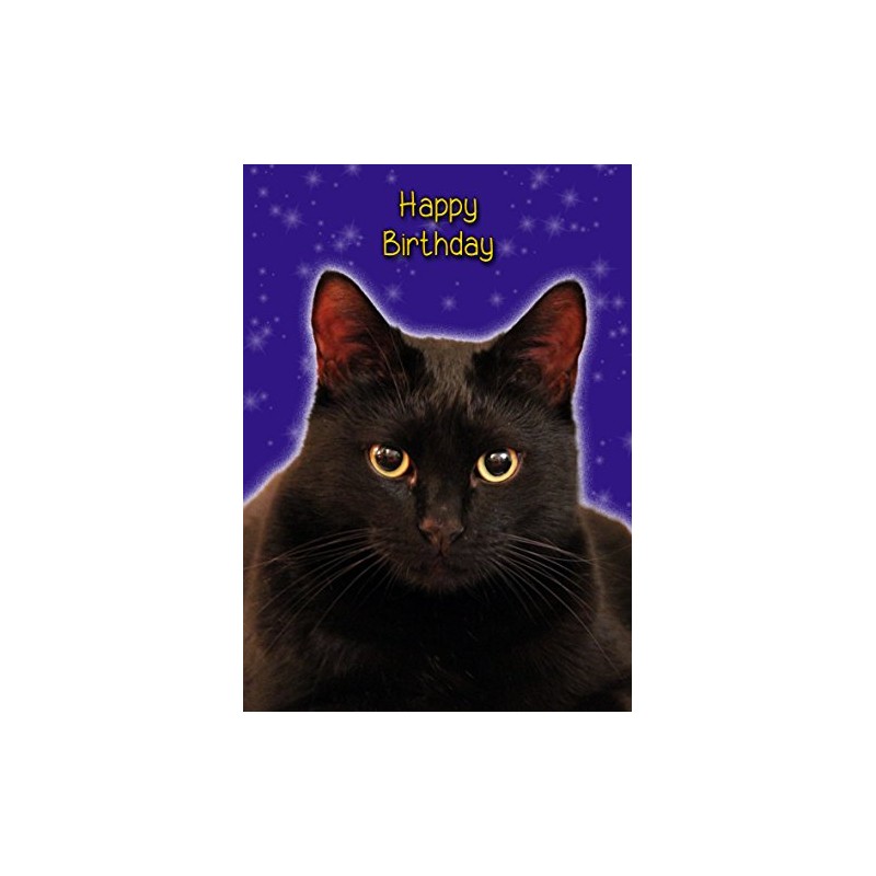 Pet Cat Birthday Card