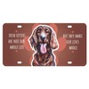 Irish Setter Watercolor Mini Metal License Plate 4.75 x 2.25