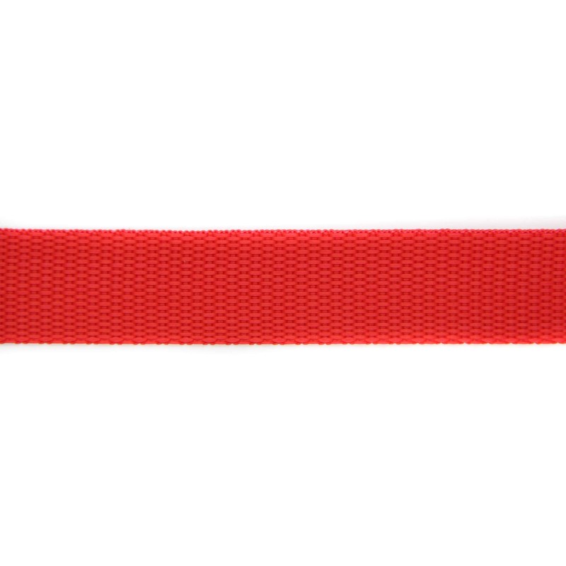 NTS Sewing Technology 25 m Webbing Made of 100% Polypropylene