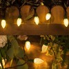 Blissun C9 Led Christmas String Lights, 50 LED 33 ft