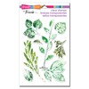 Stampendous Sellos perfectamente transparentes