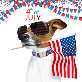 American Flag Dog Collar, Patriotic 4th of July Pet Collars with Stylish USA Design and Soft Touch, Blue Independence Day Summer Collars for Small Medium Large Dogs (M, Flag V)