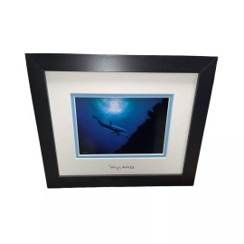 By Wyland With Silver Foil Stamp (Dolphin) Framed And Matted